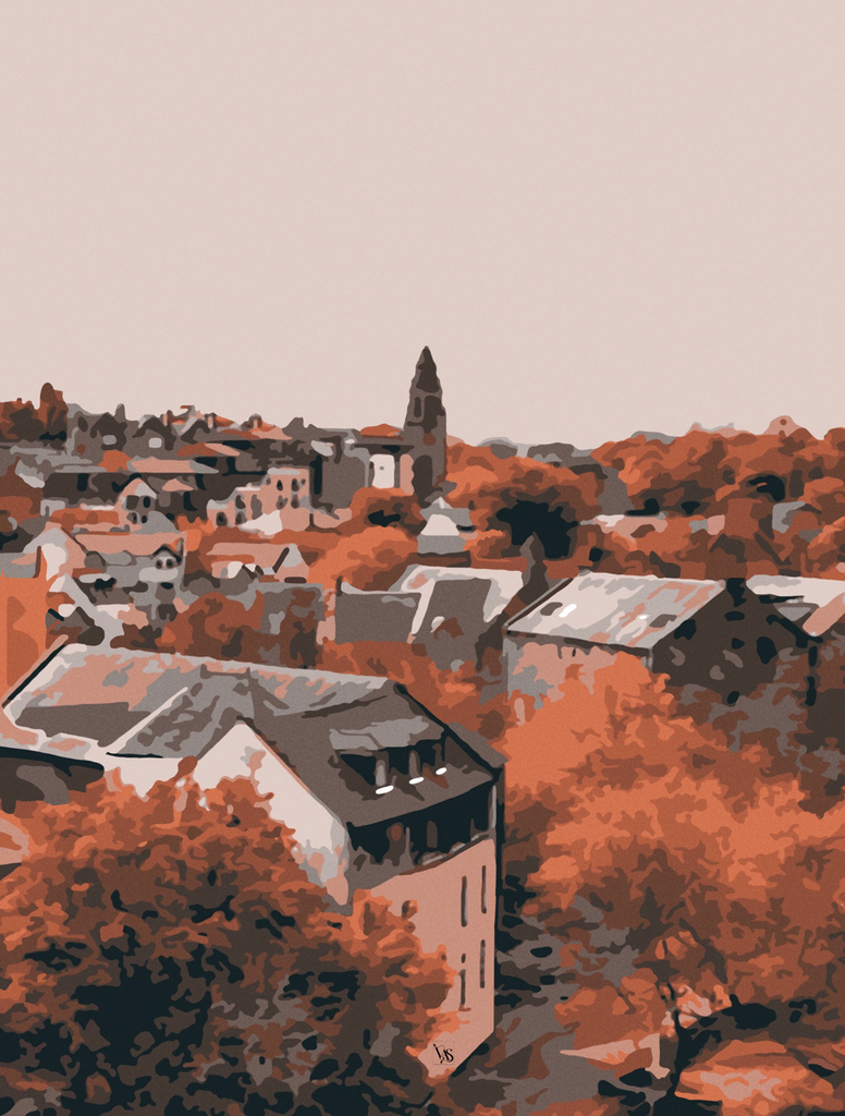 Autumn Colours